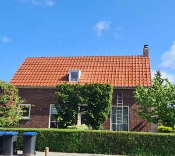 Dakreparatie diensten Den Haag